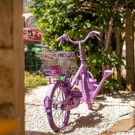 Casa Parenzana Apartment Пореч Екстериор снимка